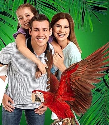 Anne ve Baba + 1 Çocuk